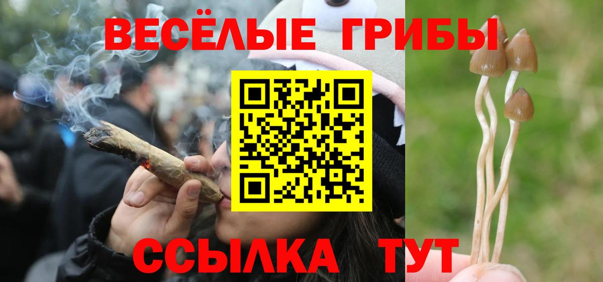 где купить наркотик  Галлюциногенные грибы GOLDEN TEACHER  Вход с VPN  Нефтекумск  Галлюциногенные грибы Cubensis 